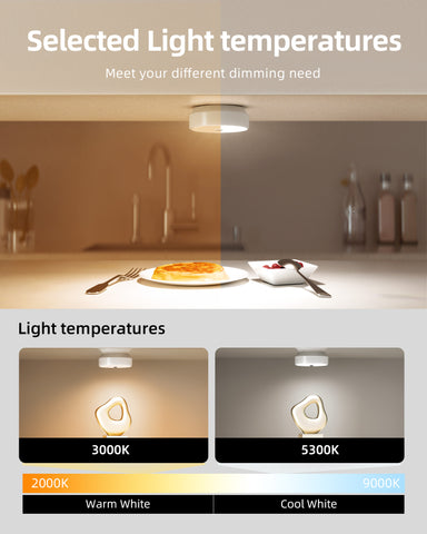 LED PIR Motion Sensor Ezvalo Led Closet Light For Cupboards