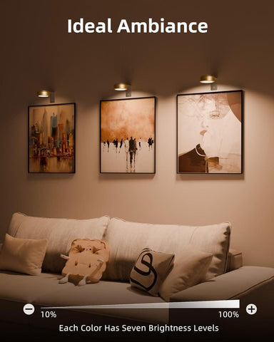 EZVALO Wall Lights for Pictures,Gallery,Frame